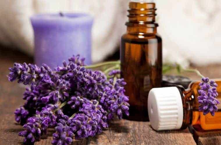 Chi of Aromatherapy with Peter Holmes - Plant Love Radio